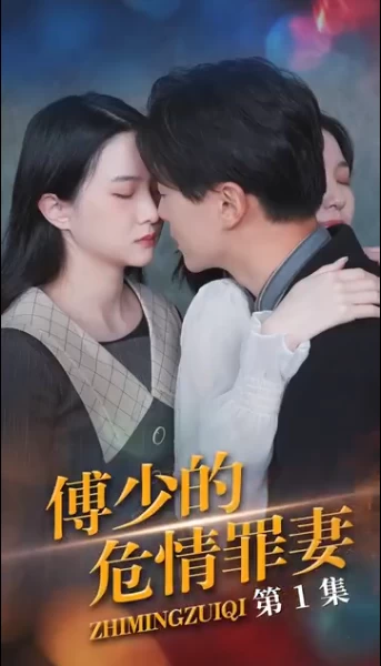 傅少的隐婚罪妻(全集)